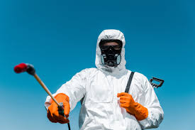 Real Estate Pest Inspections in Casa Loma, CA